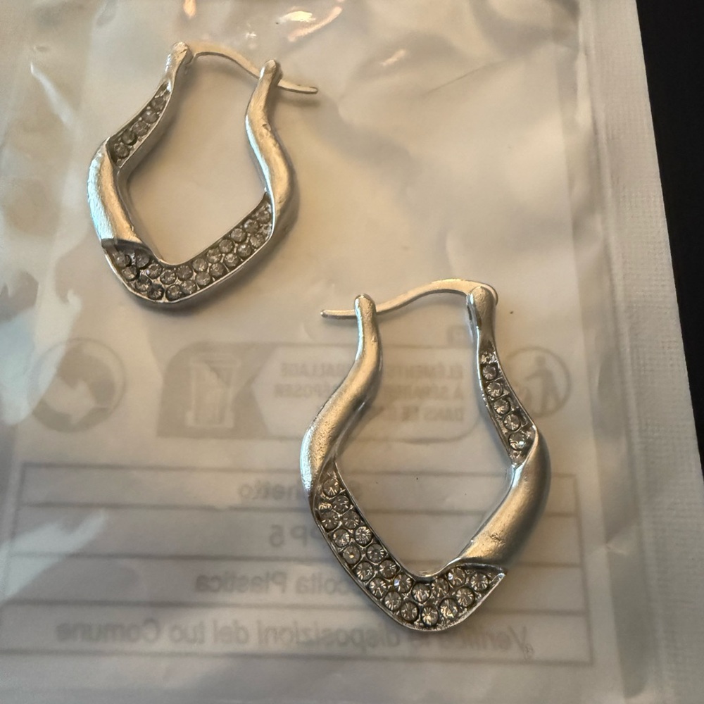 Elegant Silver Hoop Earrings